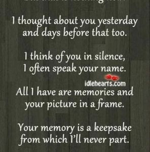 Meet your Posher, Donna